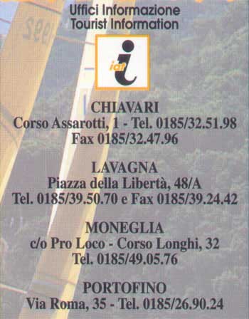 ele1.jpg (56061 bytes)