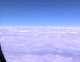 fly2.jpg